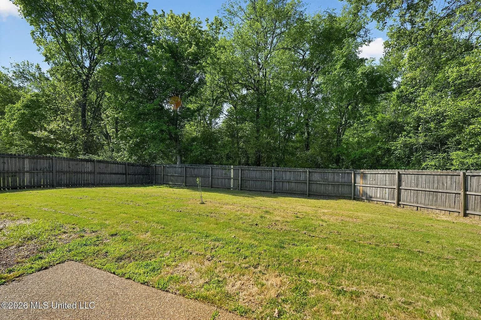 3145 Amanda Belle, Southaven, MS 38672 — photo 6
