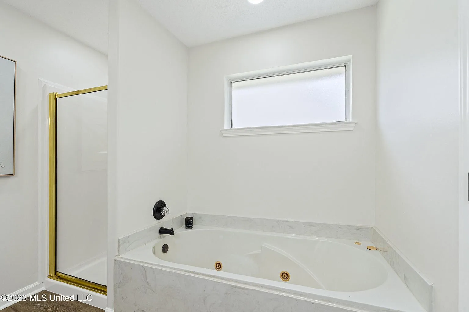 9837 Alexanders Ridge Dr, Olive Branch, MS 38654 — photo 19